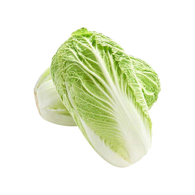 大白菜