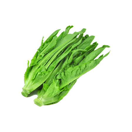 油麦菜